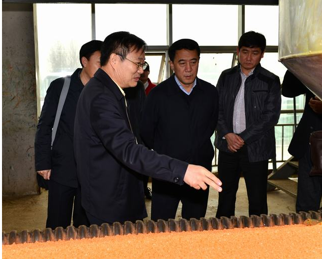 山東翔龍集團