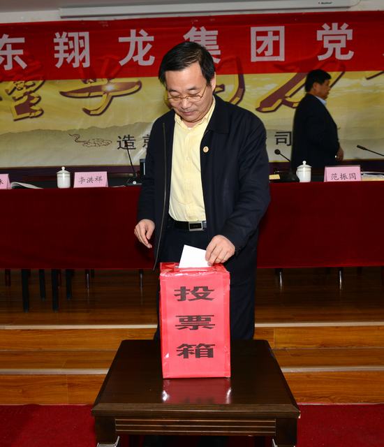 山東翔龍集團