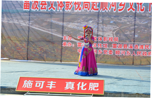 山東翔龍集團