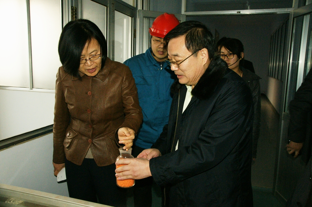 山東翔龍集團