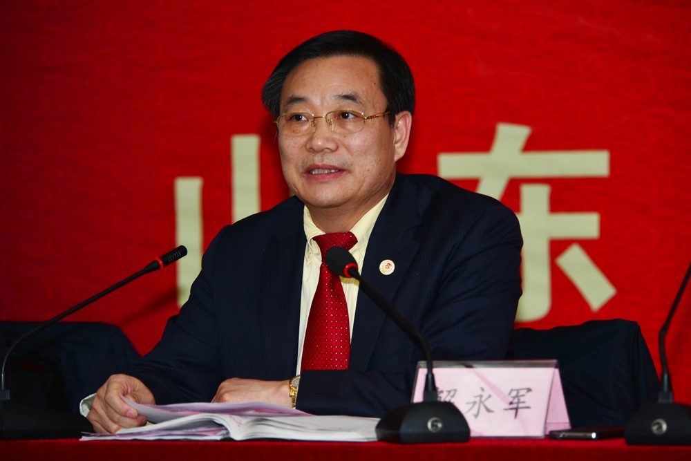 山東翔龍集團