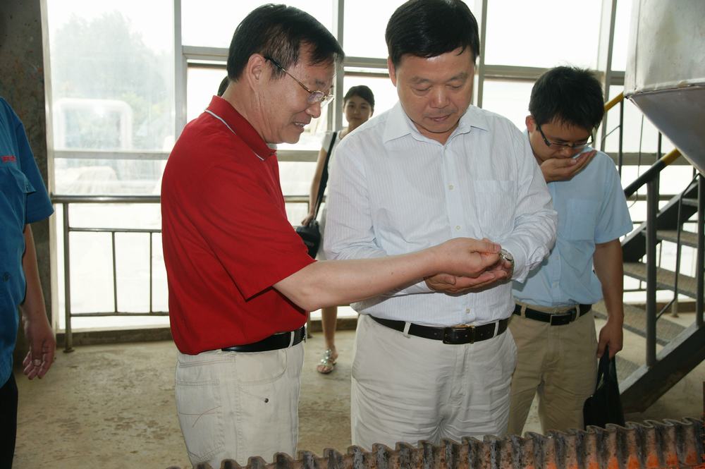 山東翔龍集團
