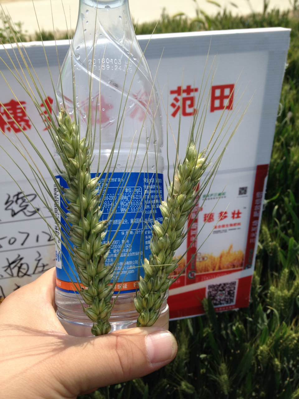 山東翔龍集團