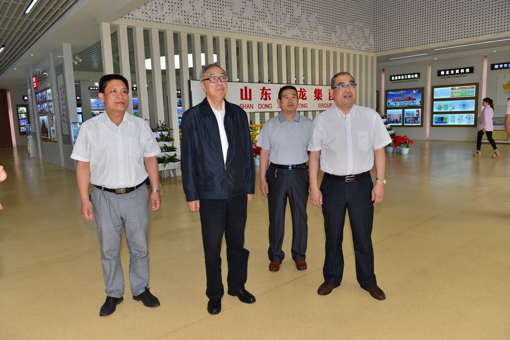 山東翔龍集團