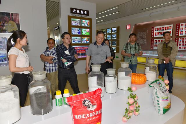山東翔龍集團