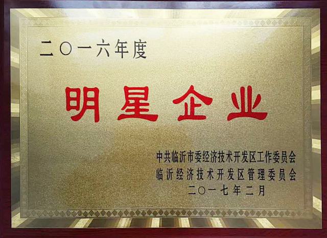 山東翔龍集團(tuán)