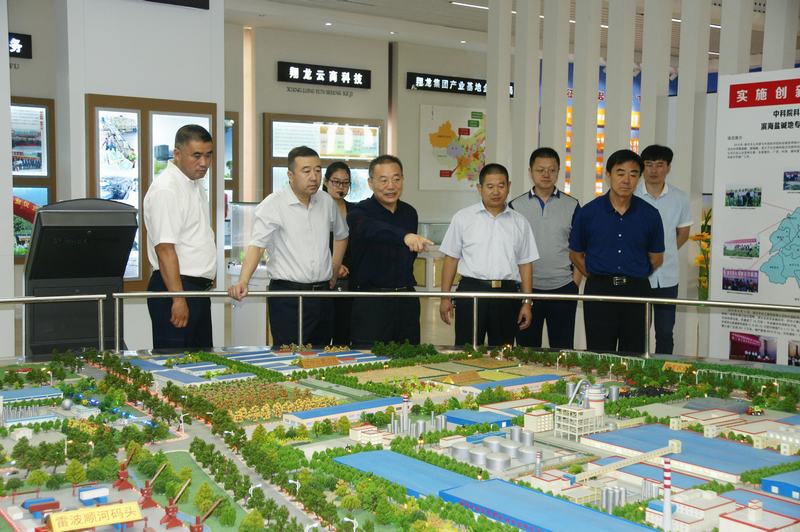山東翔龍集團