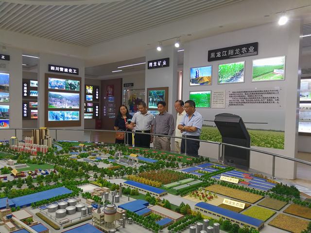 山東翔龍集團