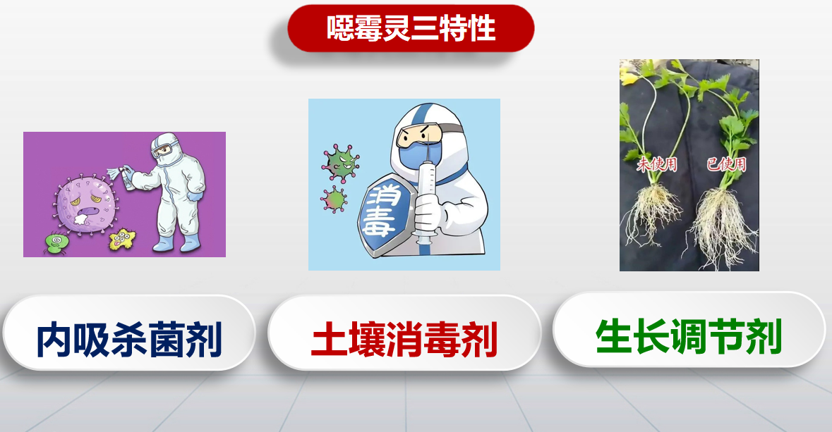 山東翔龍集團