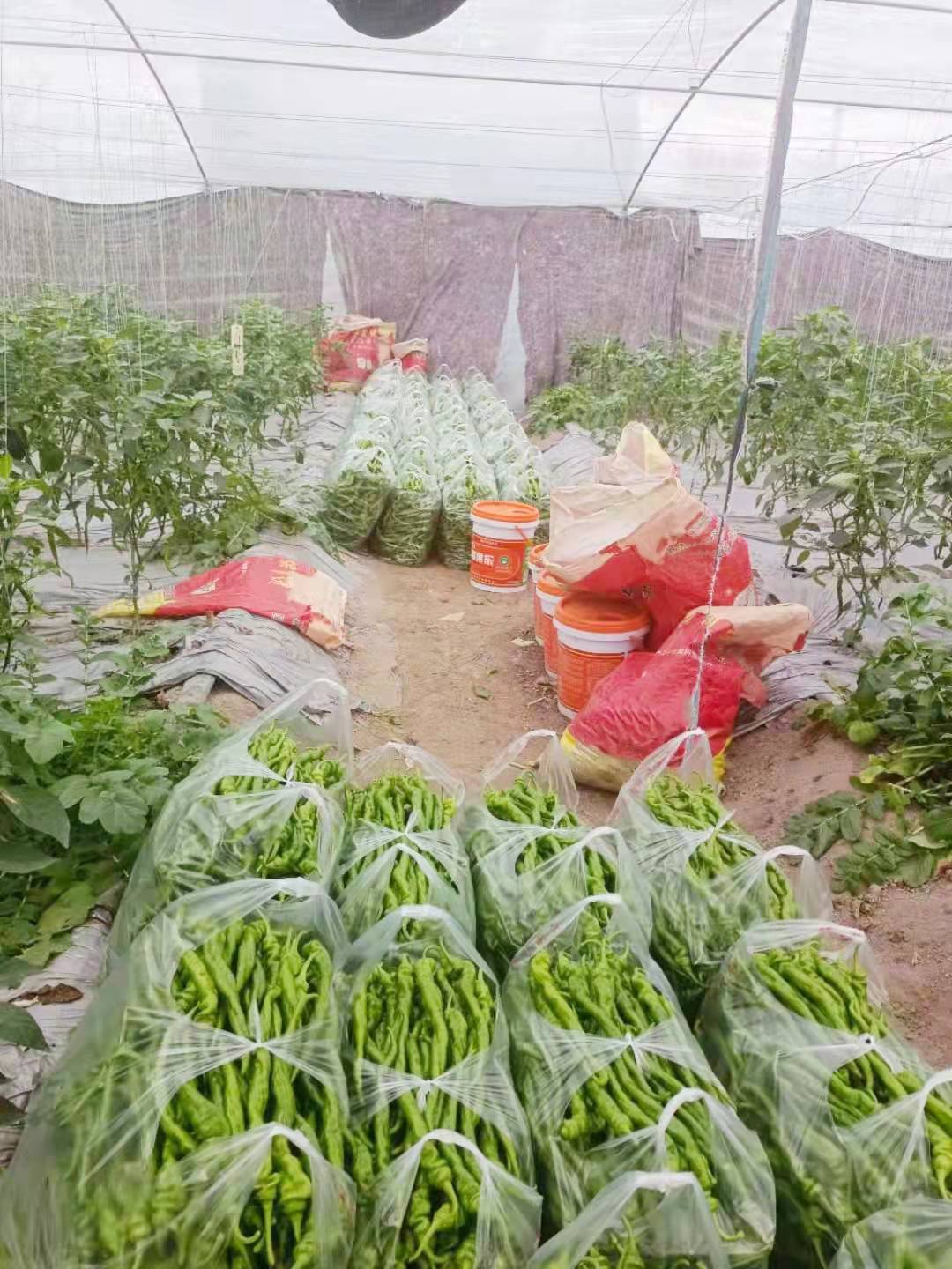 微信圖片_20220304132018.jpg