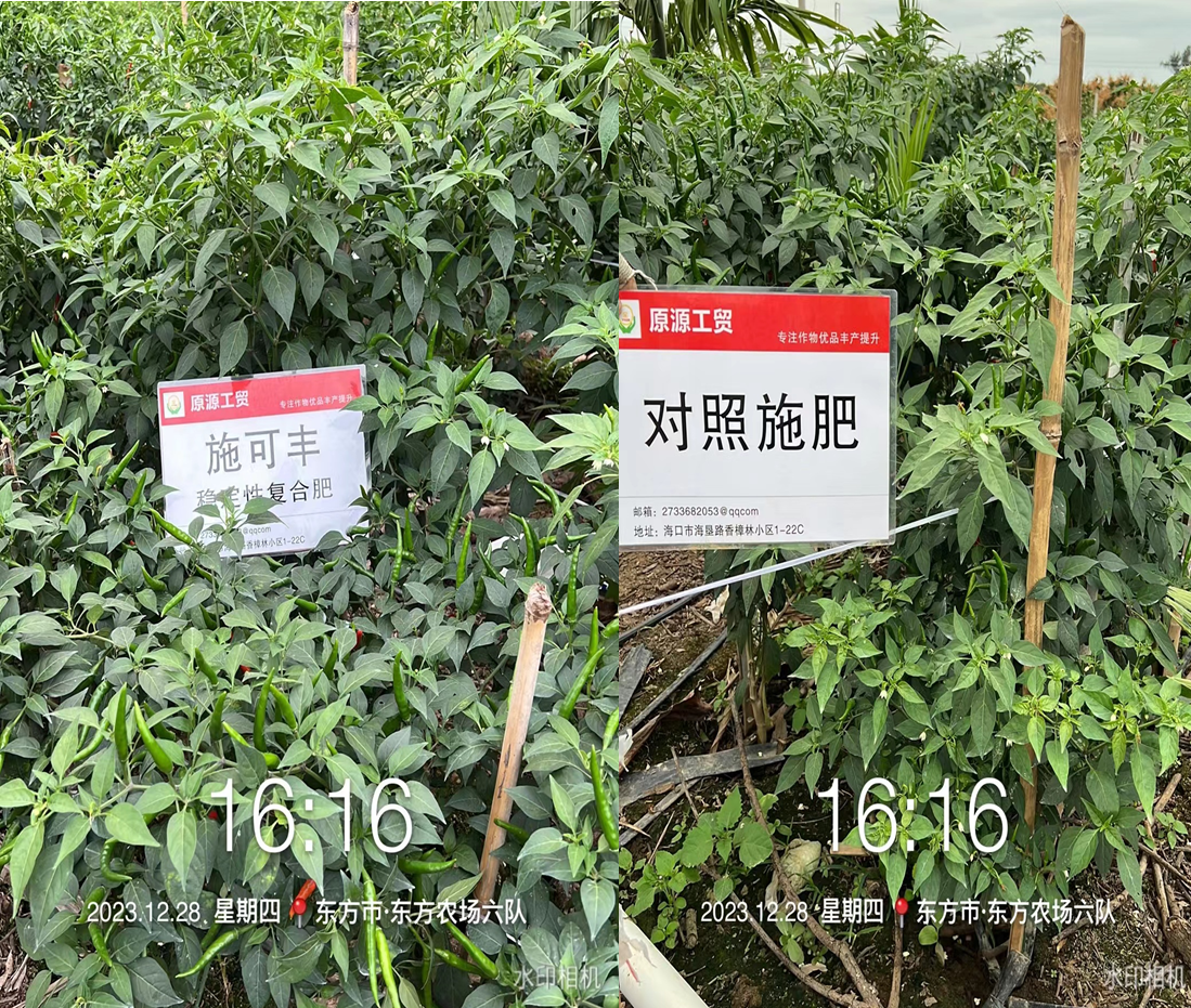 QQ截圖20240123082533.png