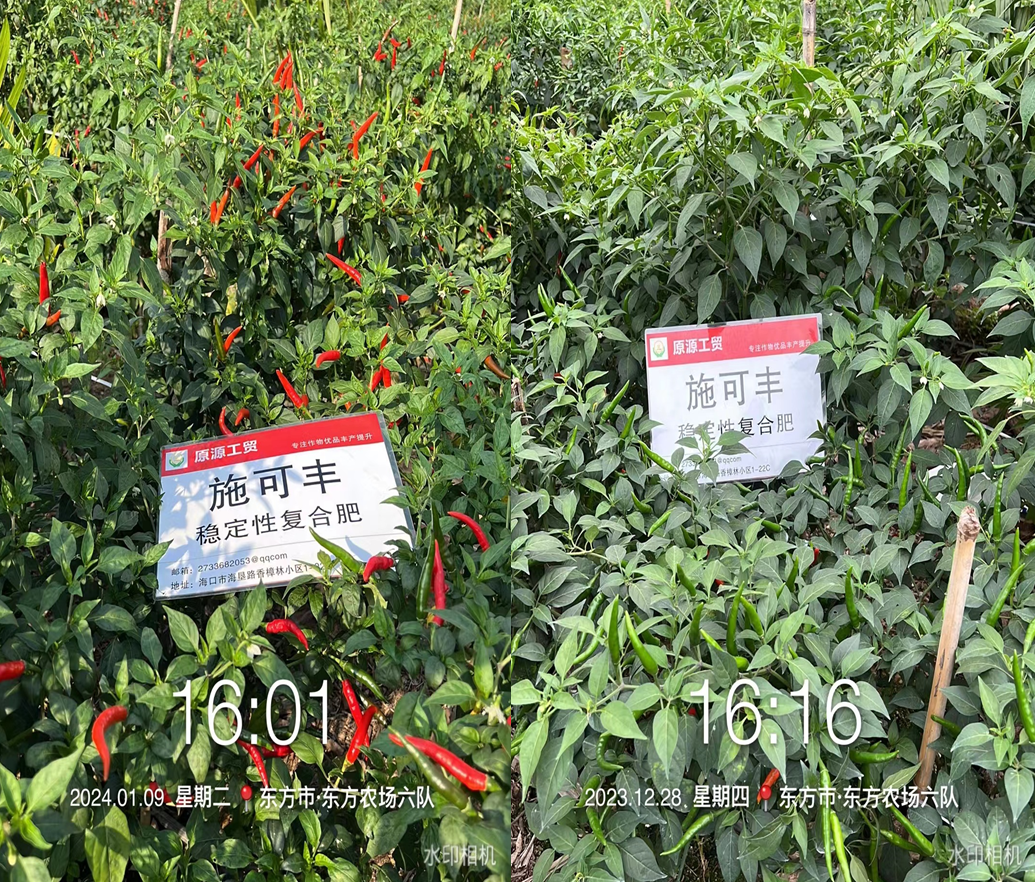 QQ截圖20240123082654.png