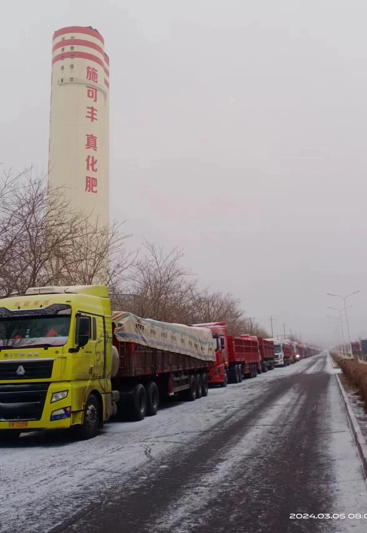 甘肅施可豐4.png